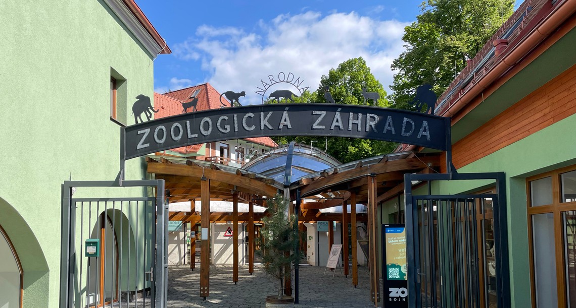 Bojnická zoo dvíha vstupné. Len na krmivo míňame 1 000 eur za deň, reaguje vedenie