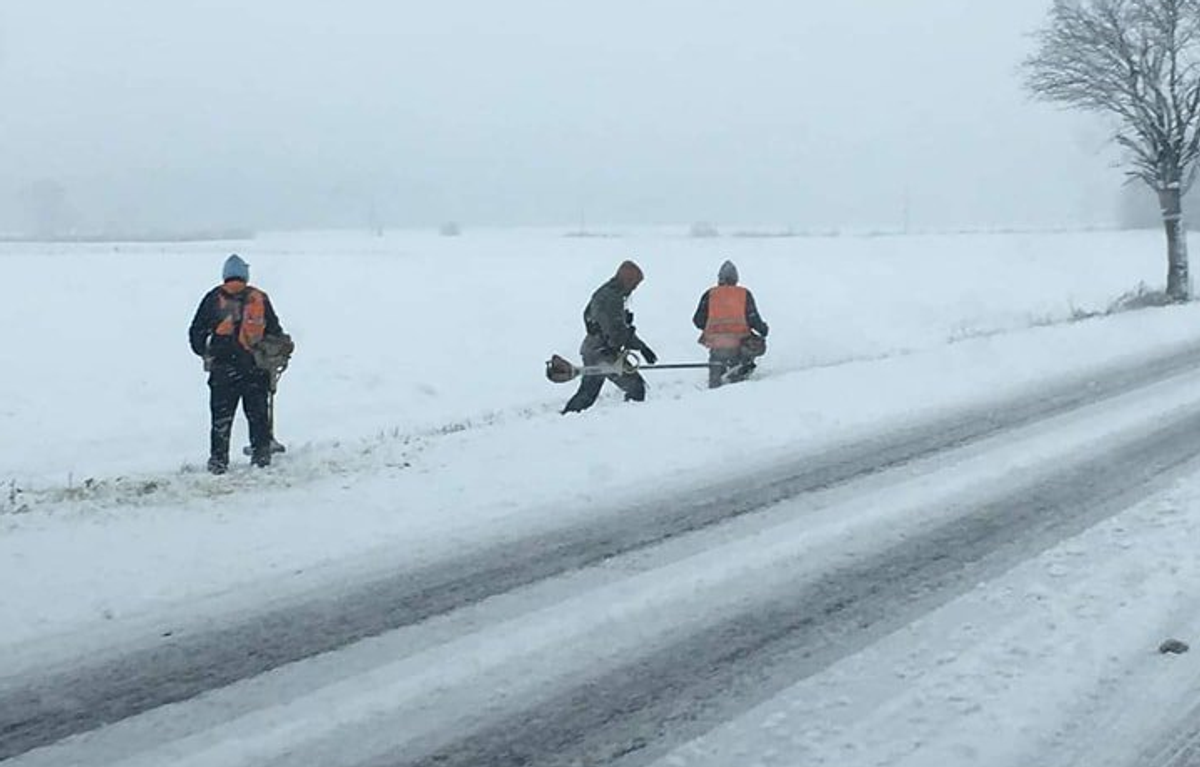 Polscy podróżnicy naśmiewają się z całego kraju.  Skosili trawę całkowicie zaśnieżoną