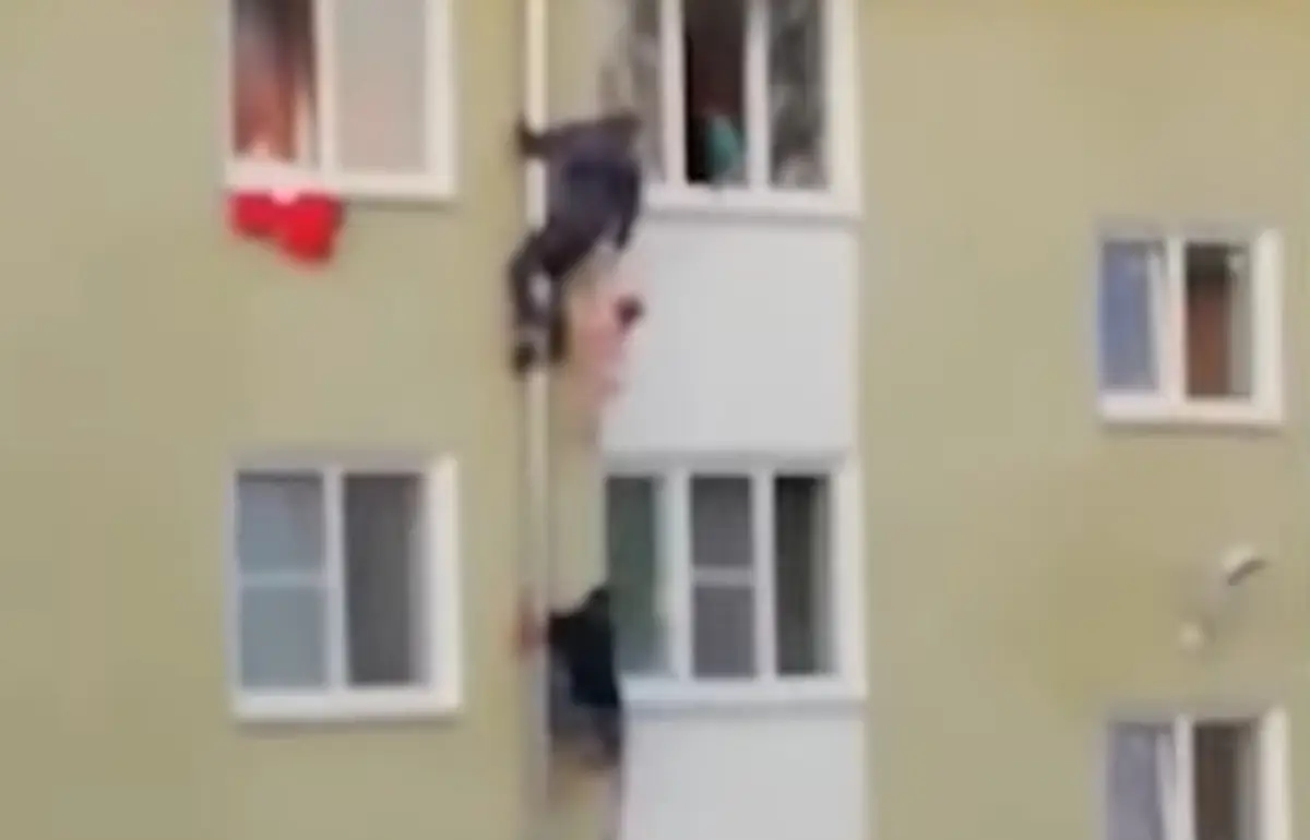 Záber z videa.