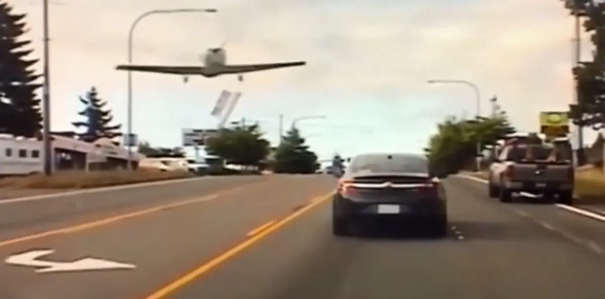 Zea