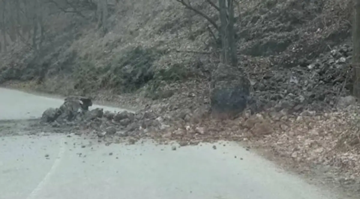 Popadané skaly na ceste cez Manínsku tiesňavu.