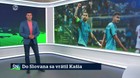Do Slovana sa vrátil Kašia