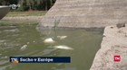 Sucho v Európe