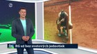 RG už bez vetových jednotiek
