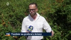 Taxikár sa prebral z kómy