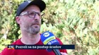 Pozreli sa na postup úradov