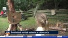 Posledné voľné miesta v táboroch