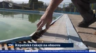 Kúpaliská čakajú na obnovu