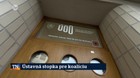 Ústavná stopka pre koalíciu