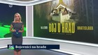 Bojovníci na hrade