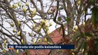 Príroda ide podľa kalendára