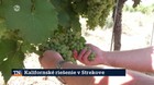 Kalifornské riešenie v Strekove
