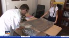 Prípad ukradnutého obrazu ožíva