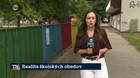 Realita školských obedov