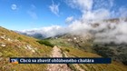 Chcú sa zbaviť obľúbeného chatára