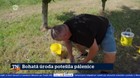 Bohatá úroda potešila pálenice