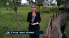 Vietor lámal stromy