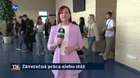 Záverečná práca alebo stáž