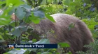 Ďalší útok v Turci