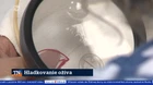 Hladkovanie ožíva