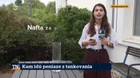 Kam idú peniaze z tankovania