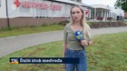 Ďalší útok medveďa