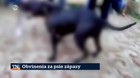 Obvinenia za psie zápasy