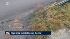 Havária ministrovej dcéry