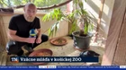 Vzácne mláďa v košickej ZOO