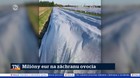 Milióny eur na záchranu ovocia