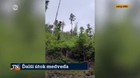 Ďalší útok medveďa