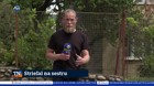 Strieľal na sestru