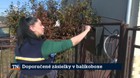 Doporučené zásielky v balíkoboxe