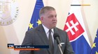 Synovia vo funkciách