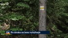 Po útoku sa esu vyhýbajú