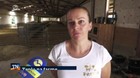 Teplo na farme