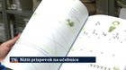 Nižší príspevok na učebnice