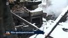 Sila spolupatričnosti