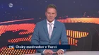 Útoky medveďov v Turci