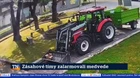 Zásahové tímy zalarmovali medvede
