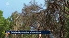 Dôsledky sucha a horúčav
