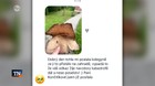 Plamene zničili kus Baťovej histórie