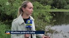 Hladinu pokryli ryby