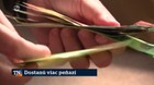 Dostanú viac peňazí
