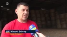 Farmári bez krmovín