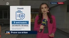 Pozor na sršne