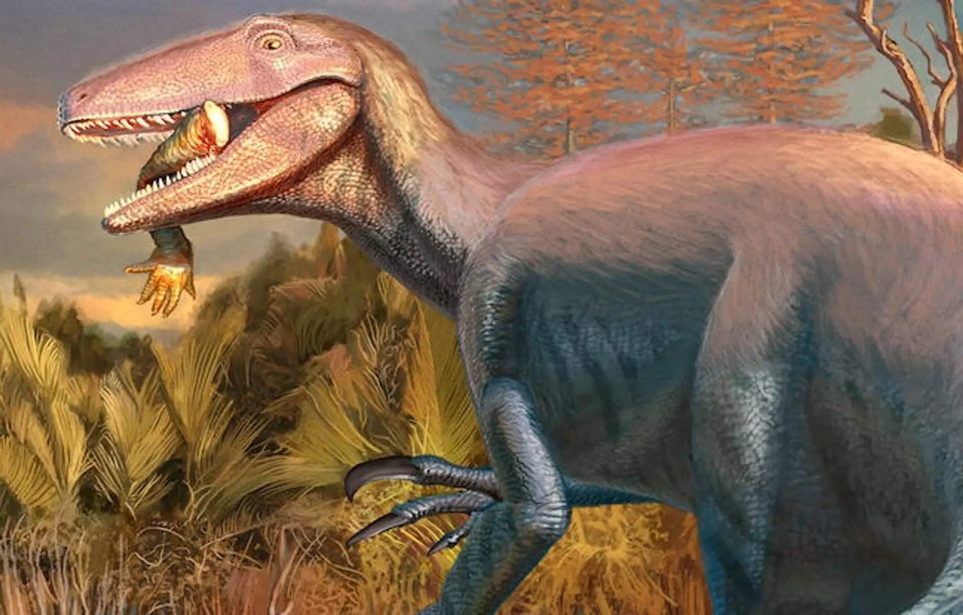 Joaquinraptor casali.
