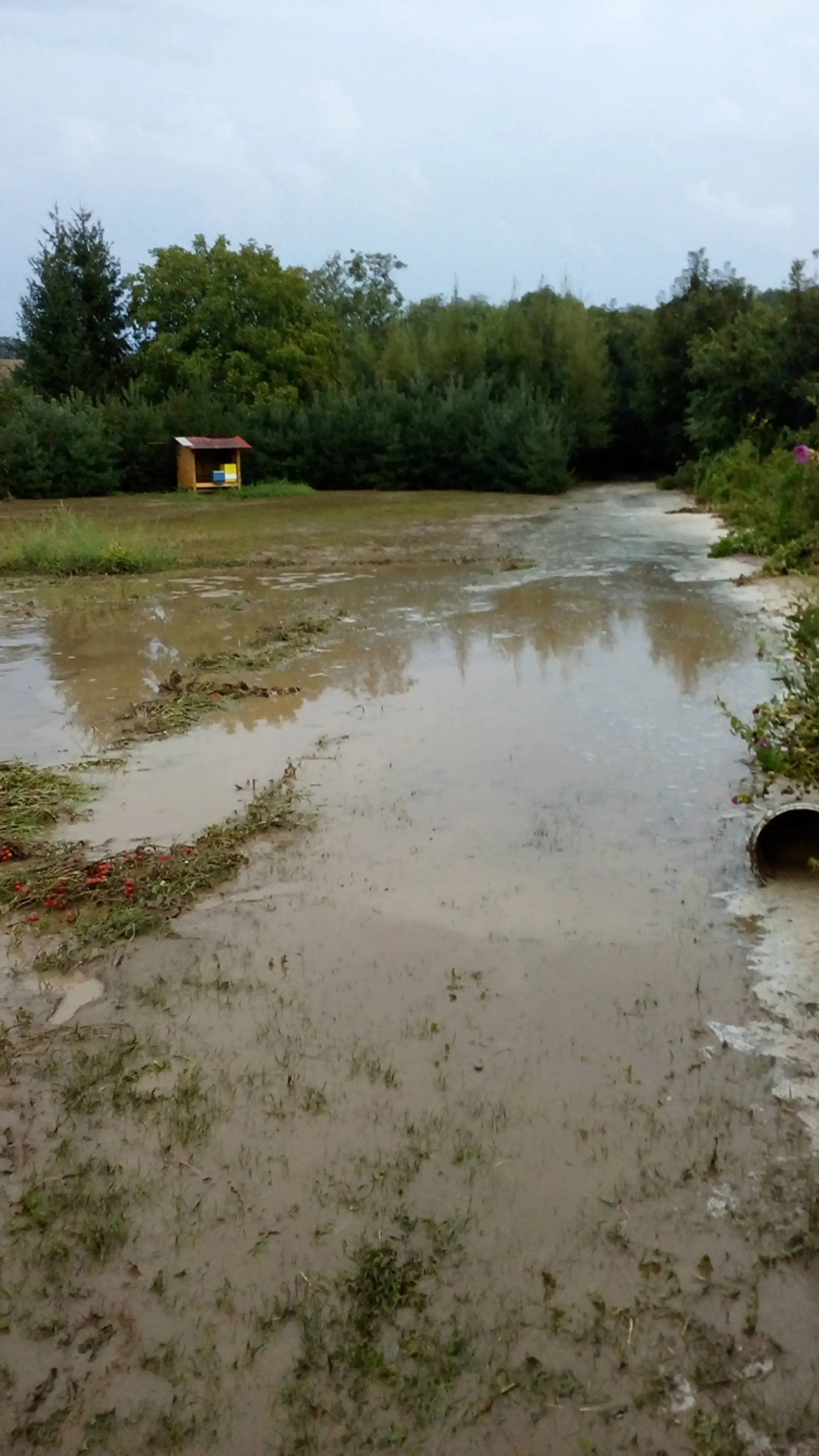 Búrka, dážď, blesky, takto ukázalo počasie v Trávnici na juhu Slovenska.