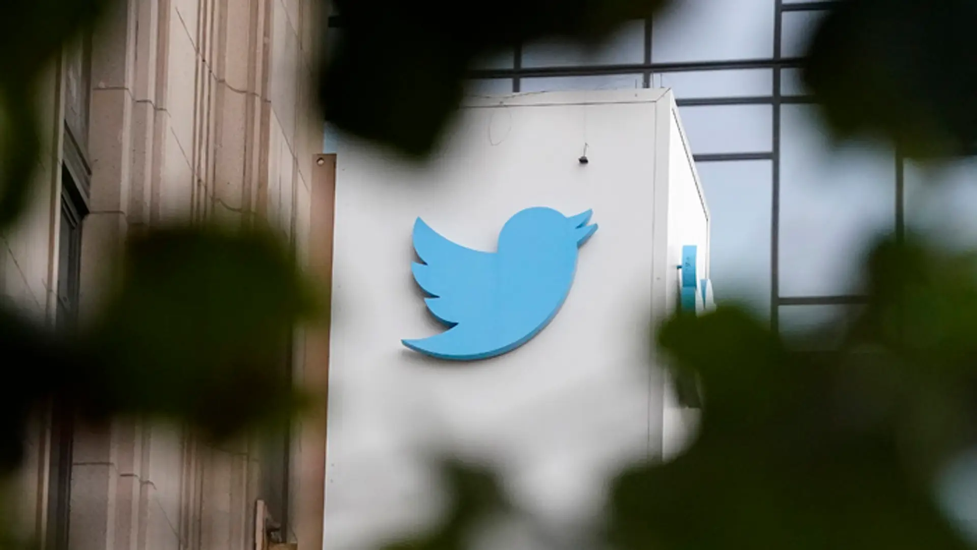 Logo sociálnej siete Twitter v San Franciscu. 