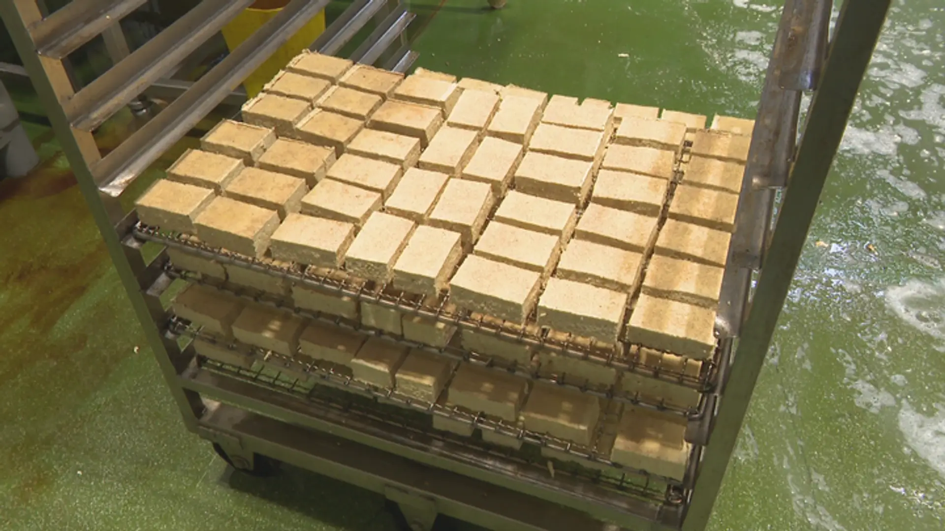 Alternatíva mäsa - tofu